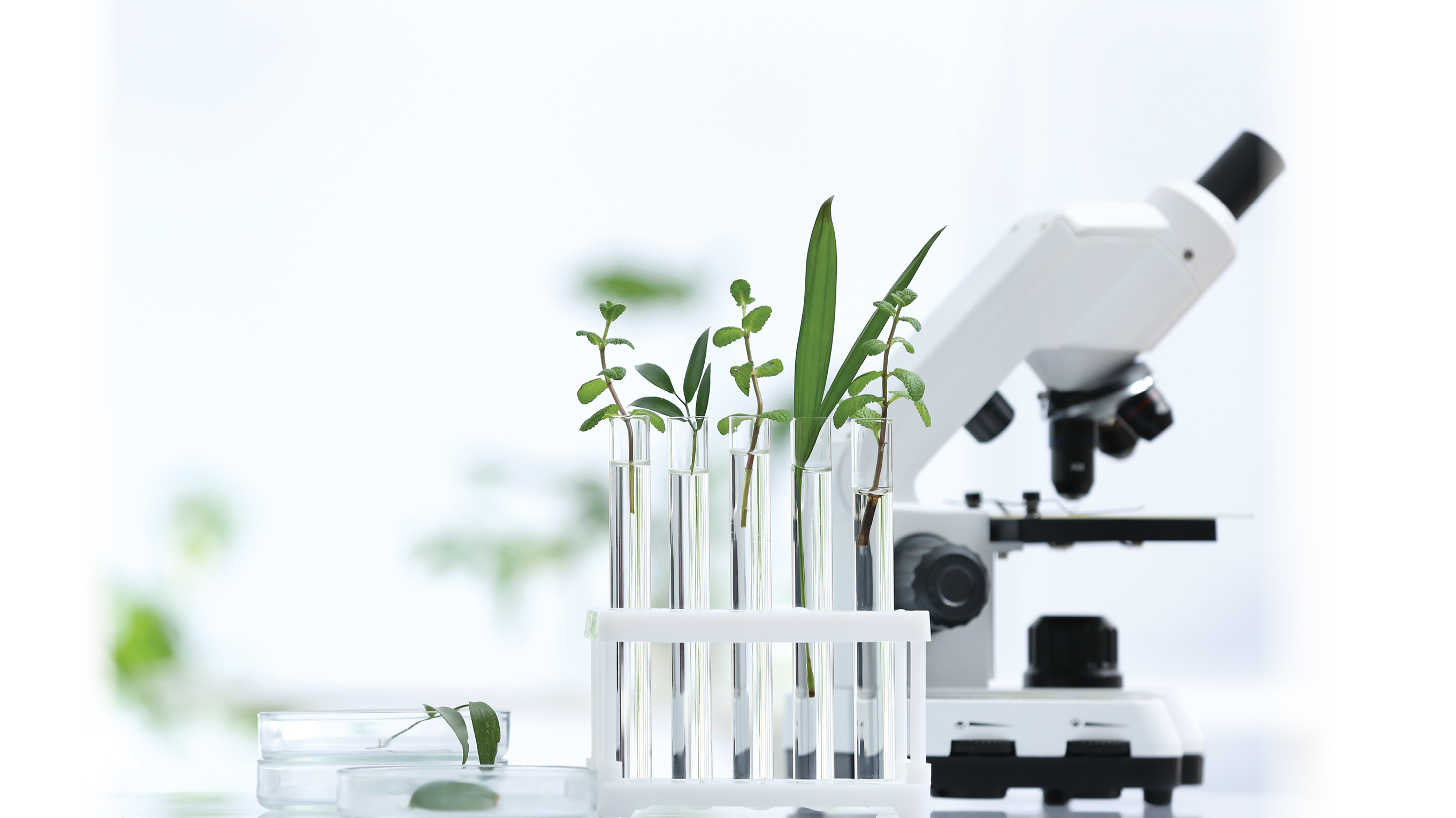 How does LATICRETE make a impact with sustainability